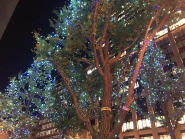 写真 2018-11-06 18 19 51.jpg